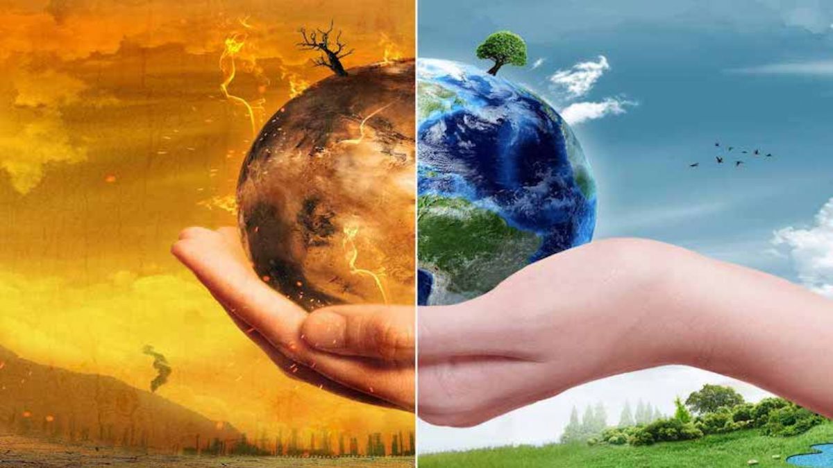 Küresel ısınma uyarısı: 'Birçok meyve türü yok olacak'