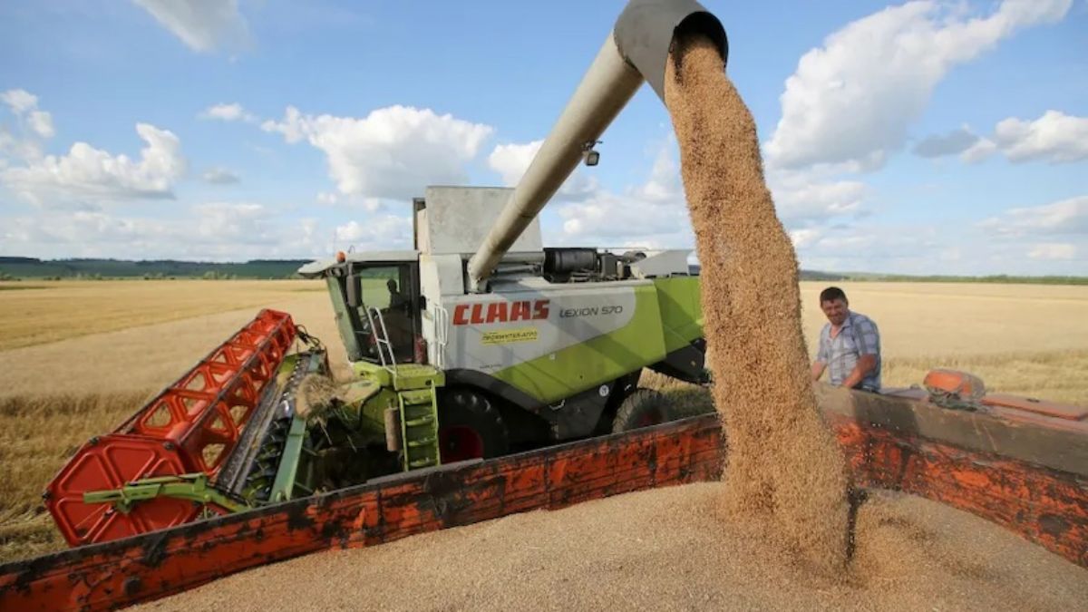 Anlaşmaya rağmen Rusya'nın, Odesa Limanı'nı bombalaması buğday fiyatlarını yükseltti