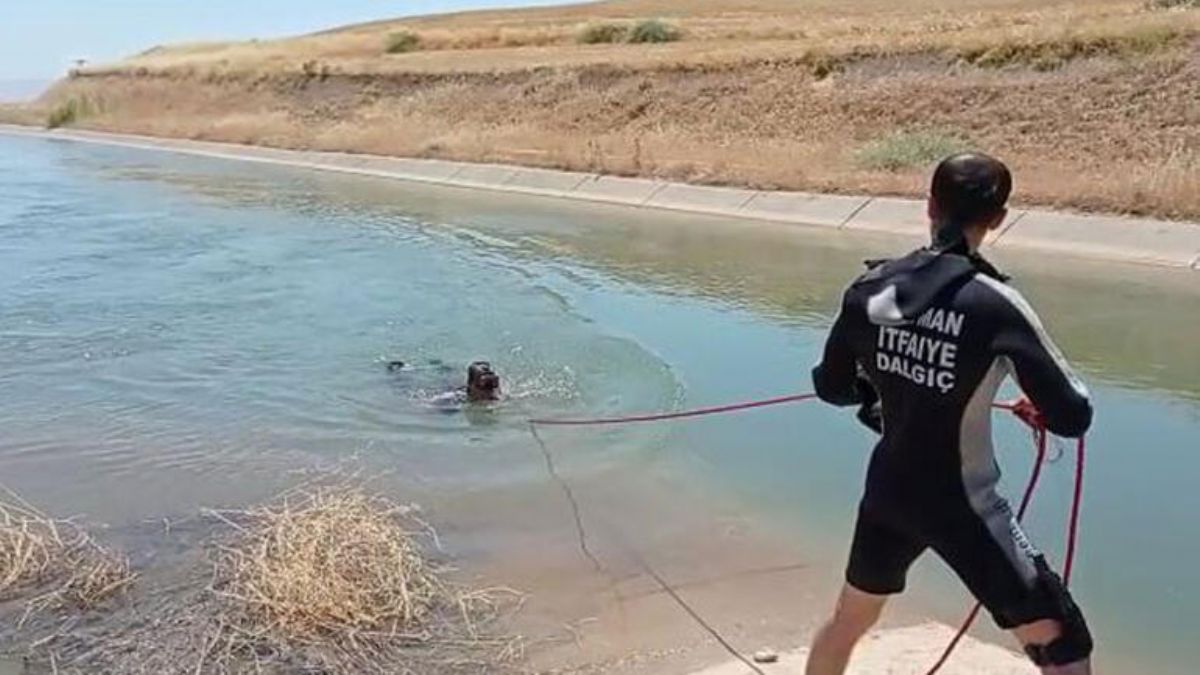 Kanala düşen kuzusu için suya atlayan çoban kayboldu