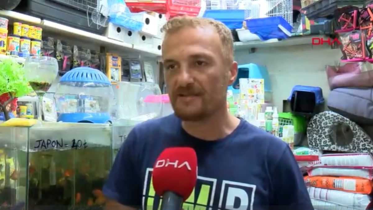 Akvaryumcular Odası'ndan, 'Kasaplar Odası' açıklaması: Her tarafta reklam oluyoruz