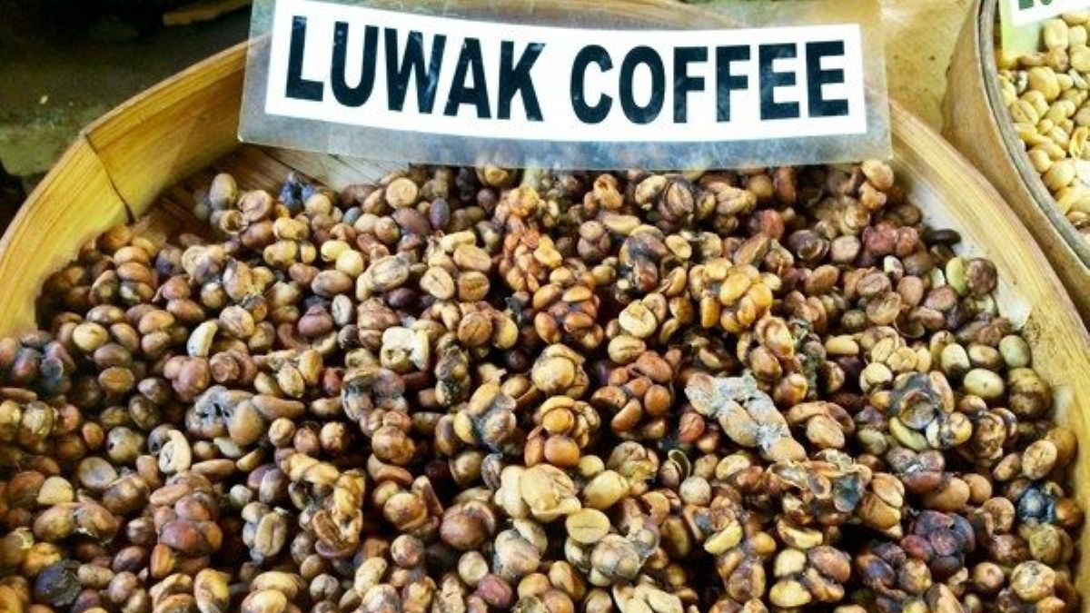 Misk kahvesi nasıl yapılır? Misk kahvesi nedir?