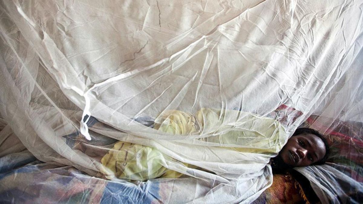 Nijerya'da Lassa ateşinden ölenlerin sayısı 162'ye çıktı