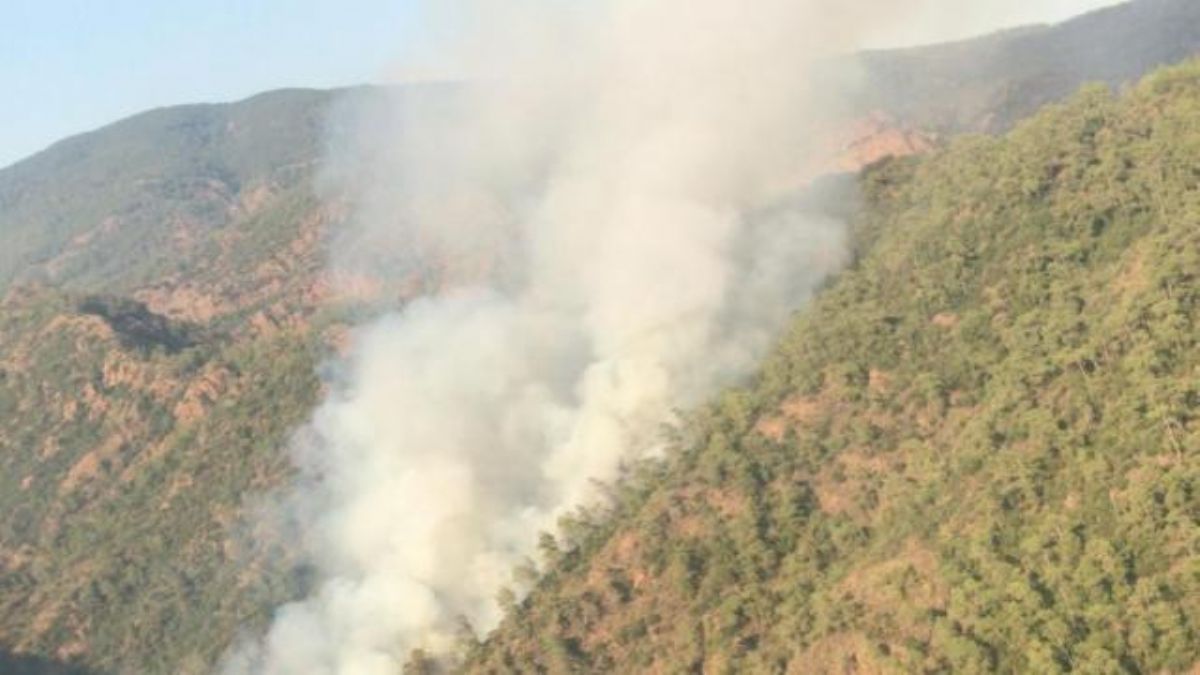 Marmaris’te orman yangını