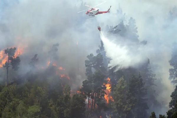 İtalya-Slovenya sınırındaki orman yangını 25 aileyi yerinden etti