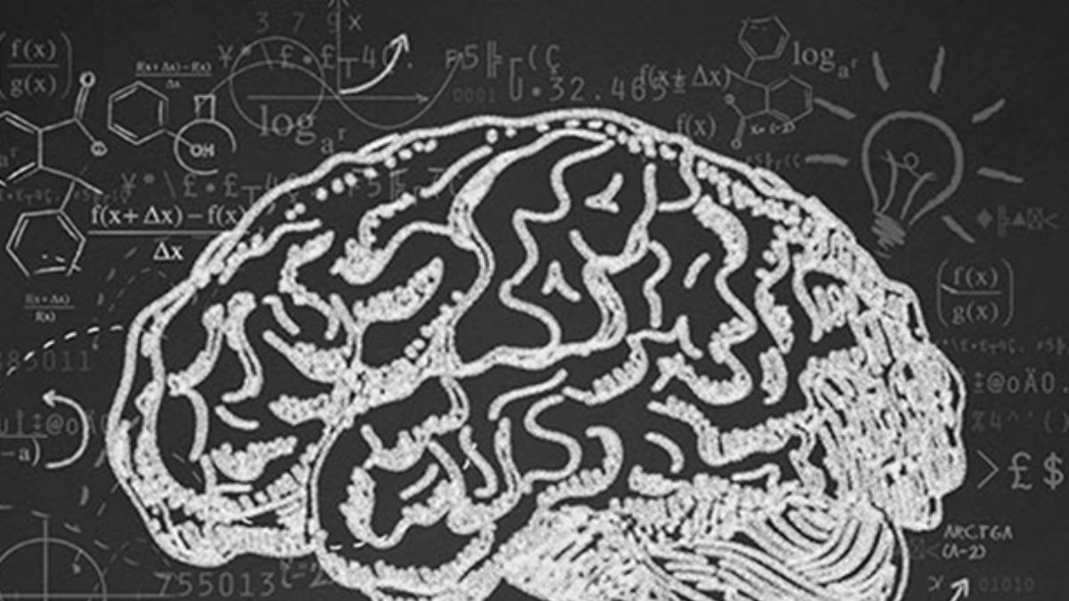 Hızla koştuktan sonra beyinde neler oluyor?