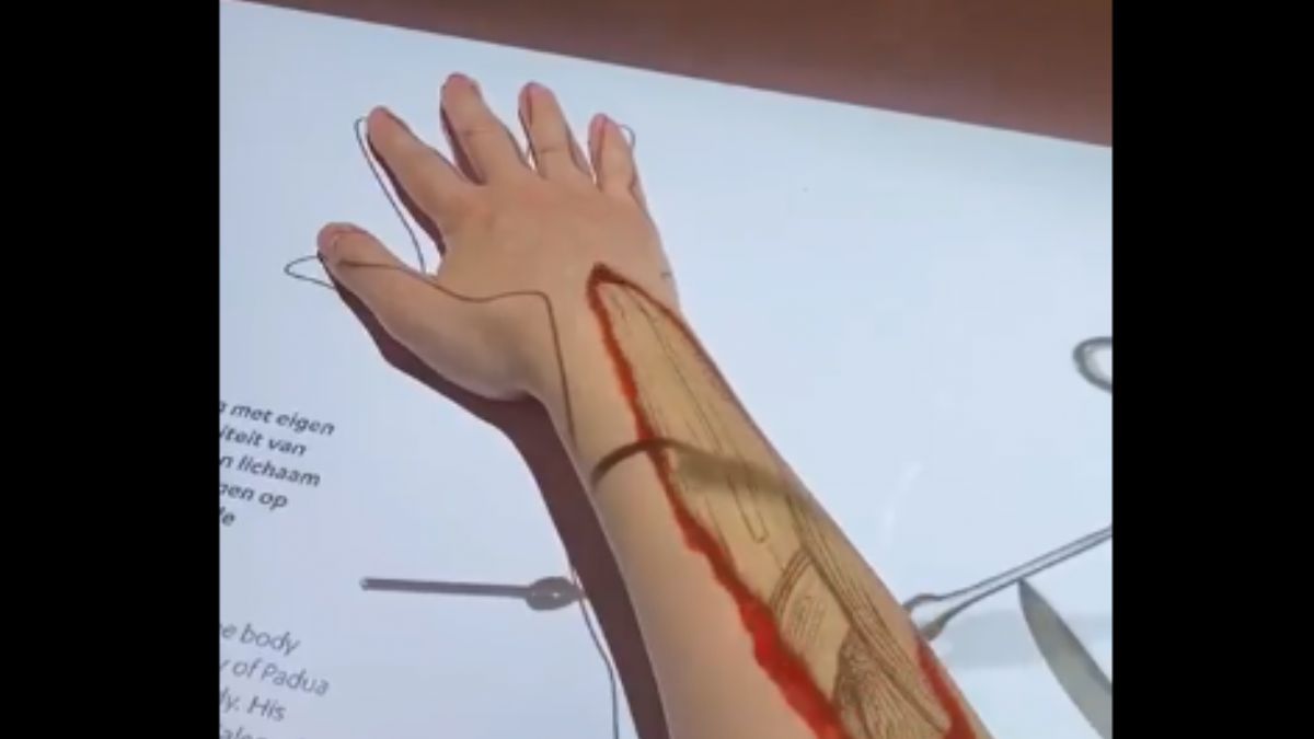 Hollanda'daki Bilim ve Tıp Tarihi Müzesinden bir görüntü