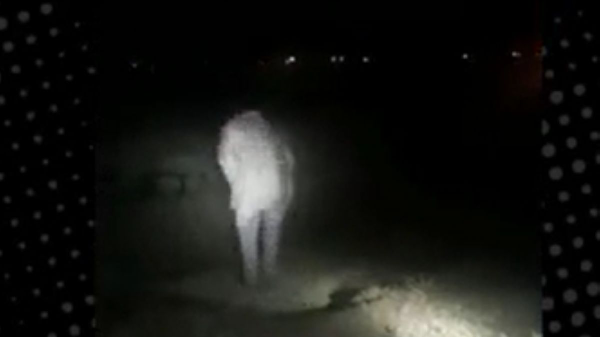 Define arıyordu, ‘cin çarpmış’a döndü