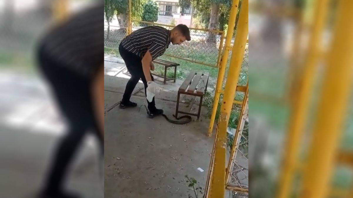 Üniversiteye giren yılanı kıskıvrak yakaladı