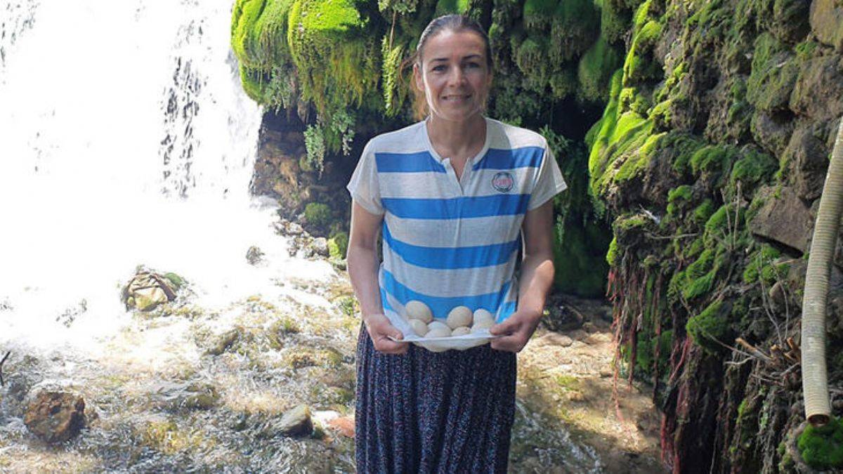 Dereden ördek ve kaz yumurtası topluyor