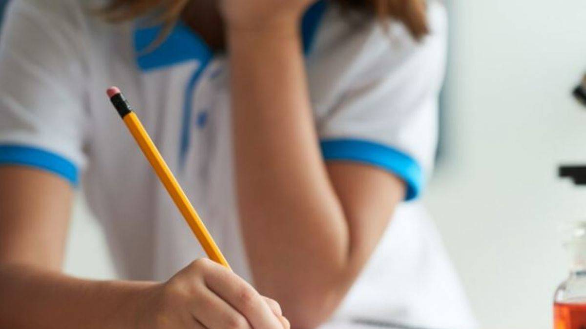 LGS'de yerleşemeyen öğrenciler ne olacak? Hiçbir okula yerleşemeyen öğrenciler ne yapacak?