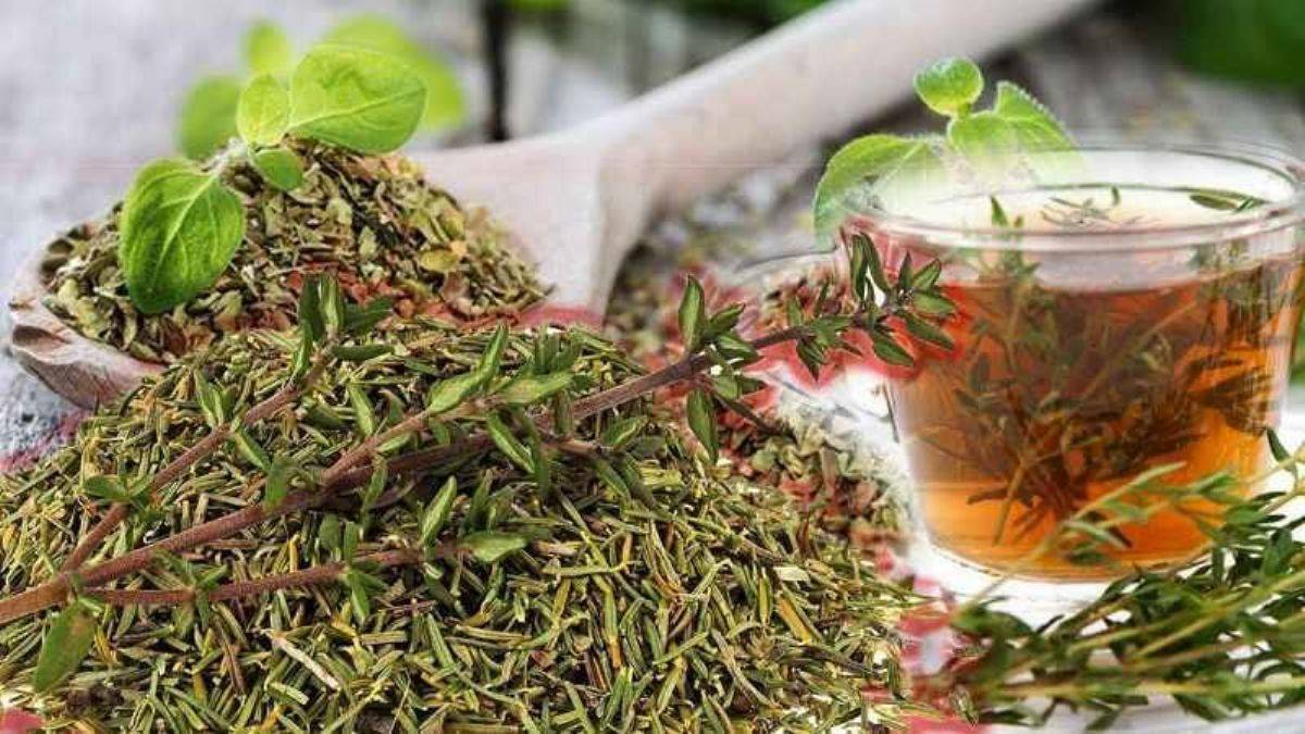 Kekik Çayı Neye İyi Gelir? Kekik Çayı Faydaları