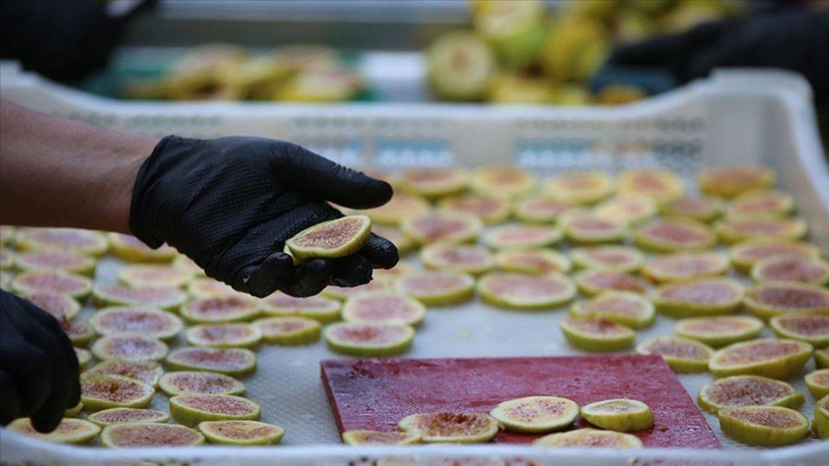 Aydın'da hassas ve ince işçilik; 'İncir cipsi'