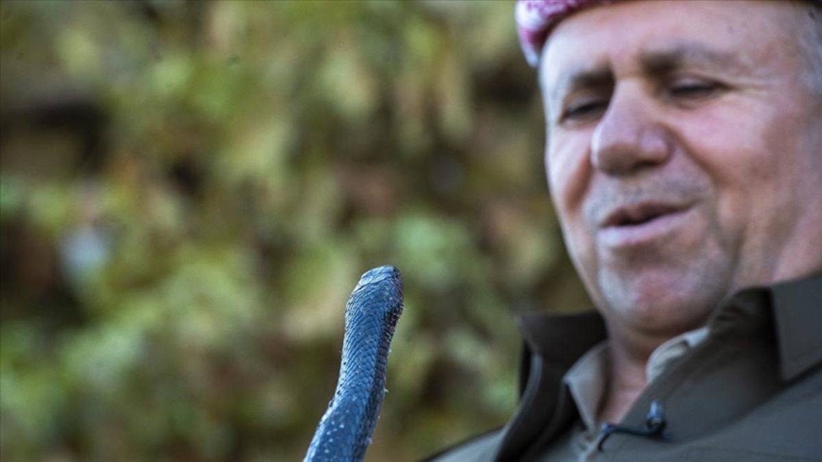 Yıllardır ailesiyle 60 yılan besliyor