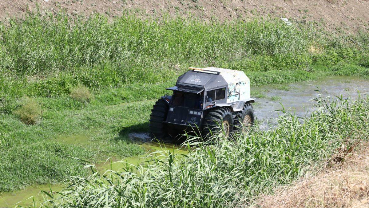 Sinekle kesintisiz mücadele