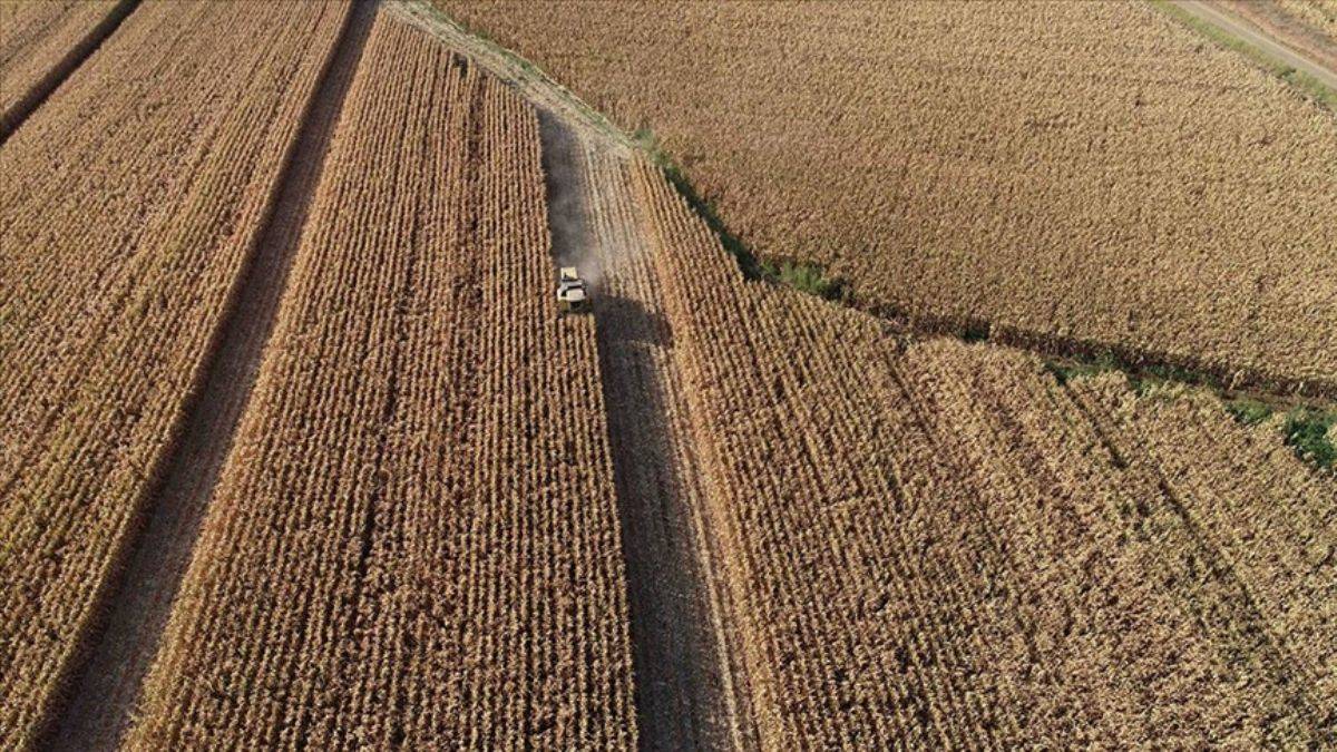 Tarımda 'organize' atak! Kritik adımlar atılıyor