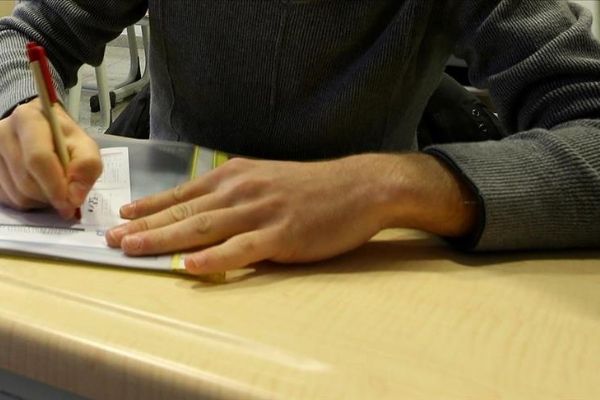 Türkiye Diyanet Vakfı burs programlarına başvurular başladı