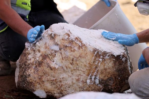 Dev heykeller asırlar sonra gün ışığında! Taklitlerin yerine orijinalleri geliyor