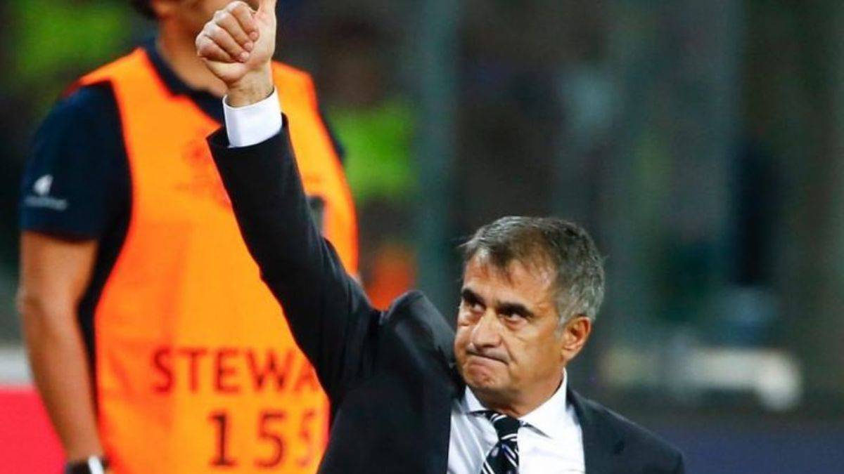 Şenol Güneş Kimdir? Şenol Güneş Başarıları