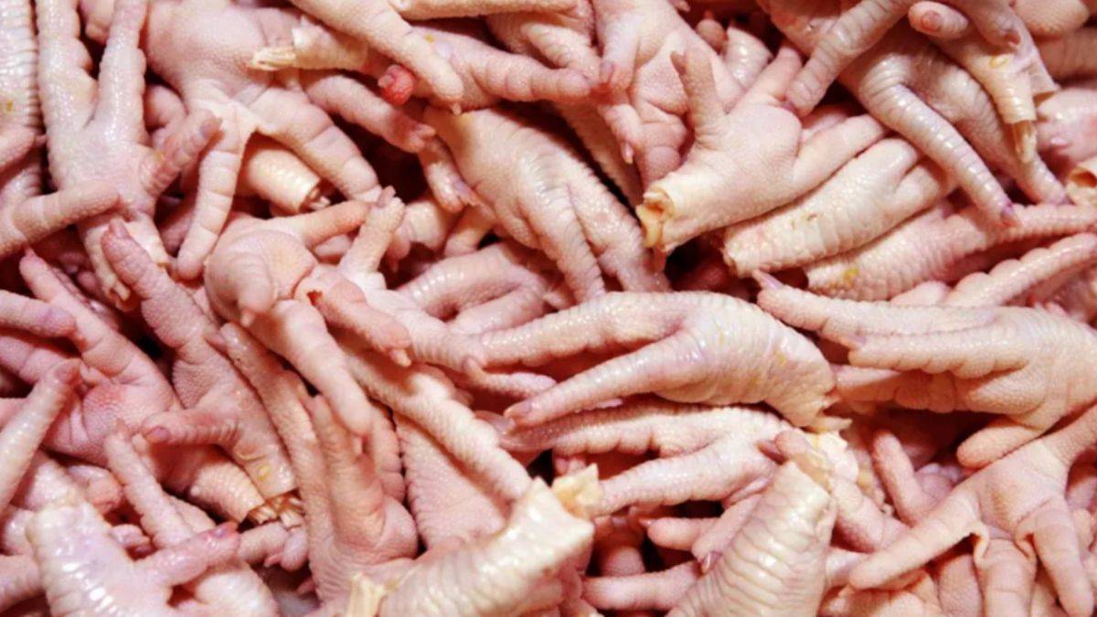 Milyon dolarlık Çin hamlesi!