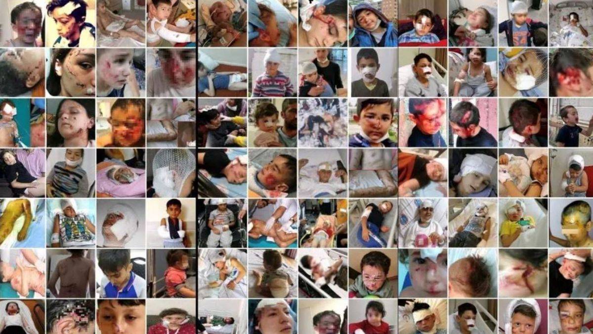 'Hindistan’da kutsal inek, Türkiye’de kutsal köpek!'