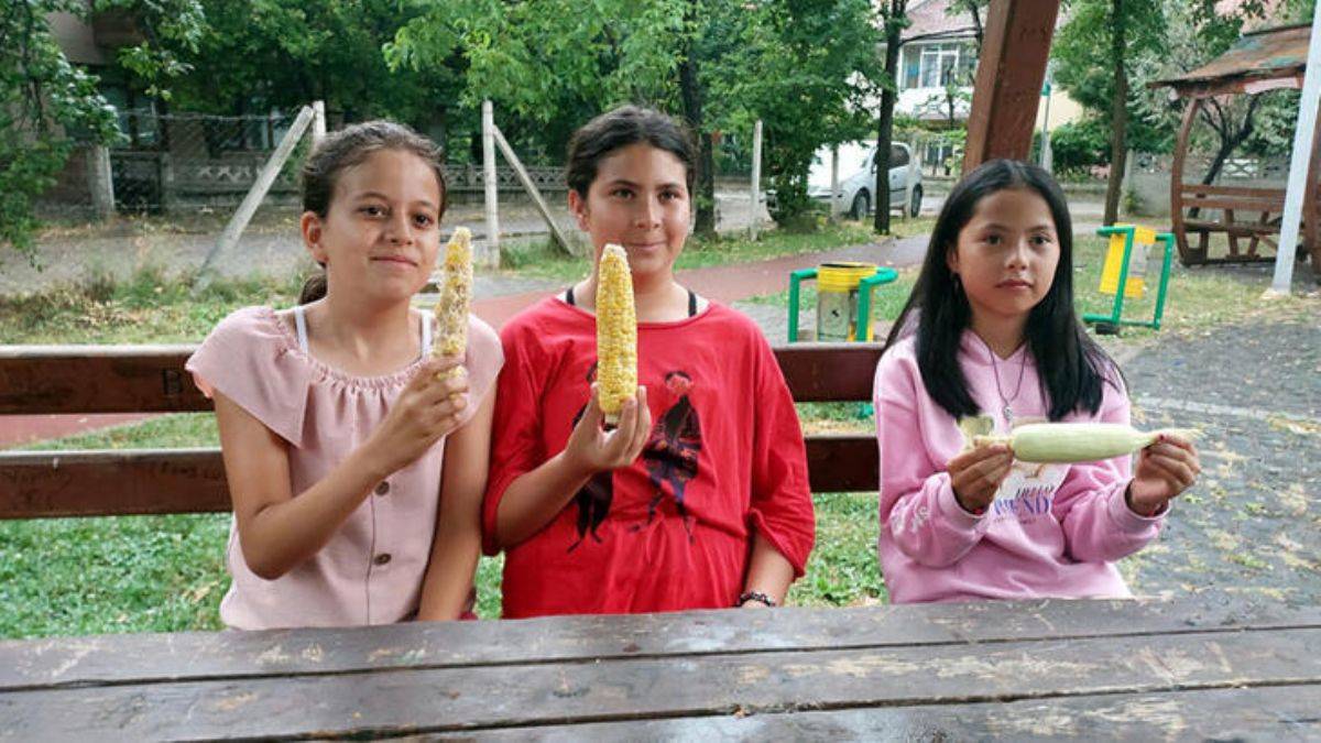 Bahçesinden mısır alan 3 çocuğu dövmüştü, cezası belli oldu!