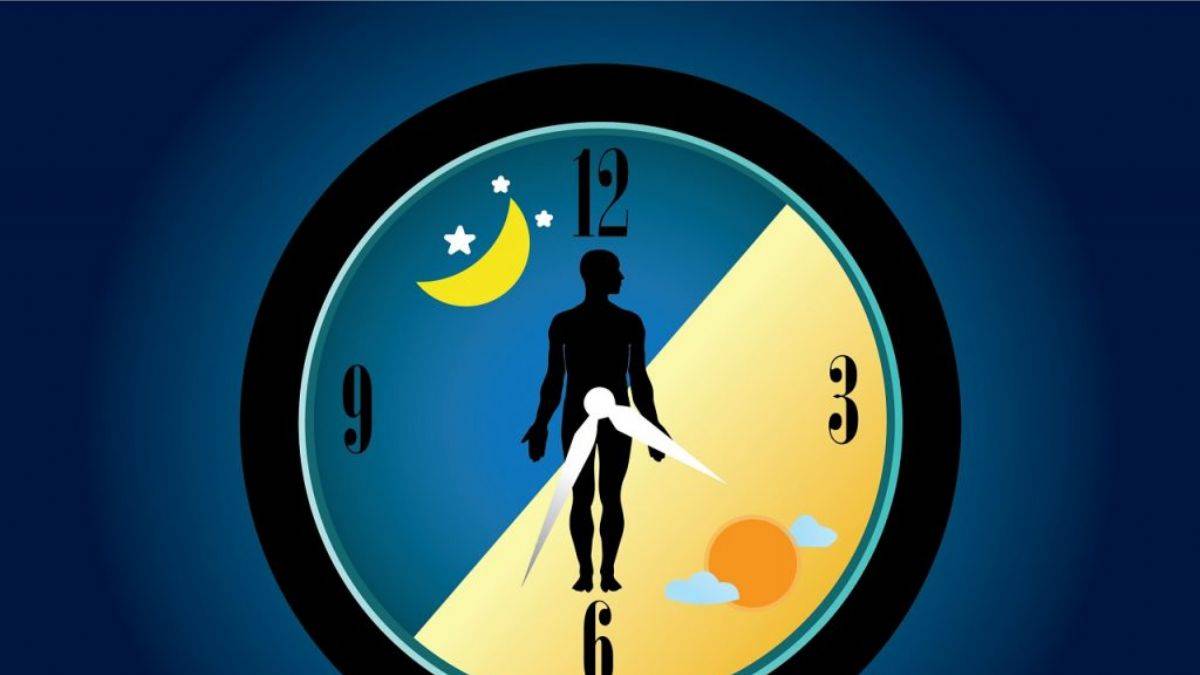 Biyolojik saatin bozulması, hastalıklara davetiye çıkarıyor