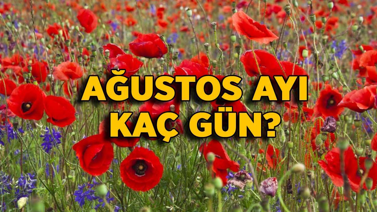 Ağustos kaç çekiyor? 2022 Ağustos ayı kaç gün? Ağustos 30 mu, 31 mi çeker? Ağustos ayı 30 gün mü 31 gün mü?