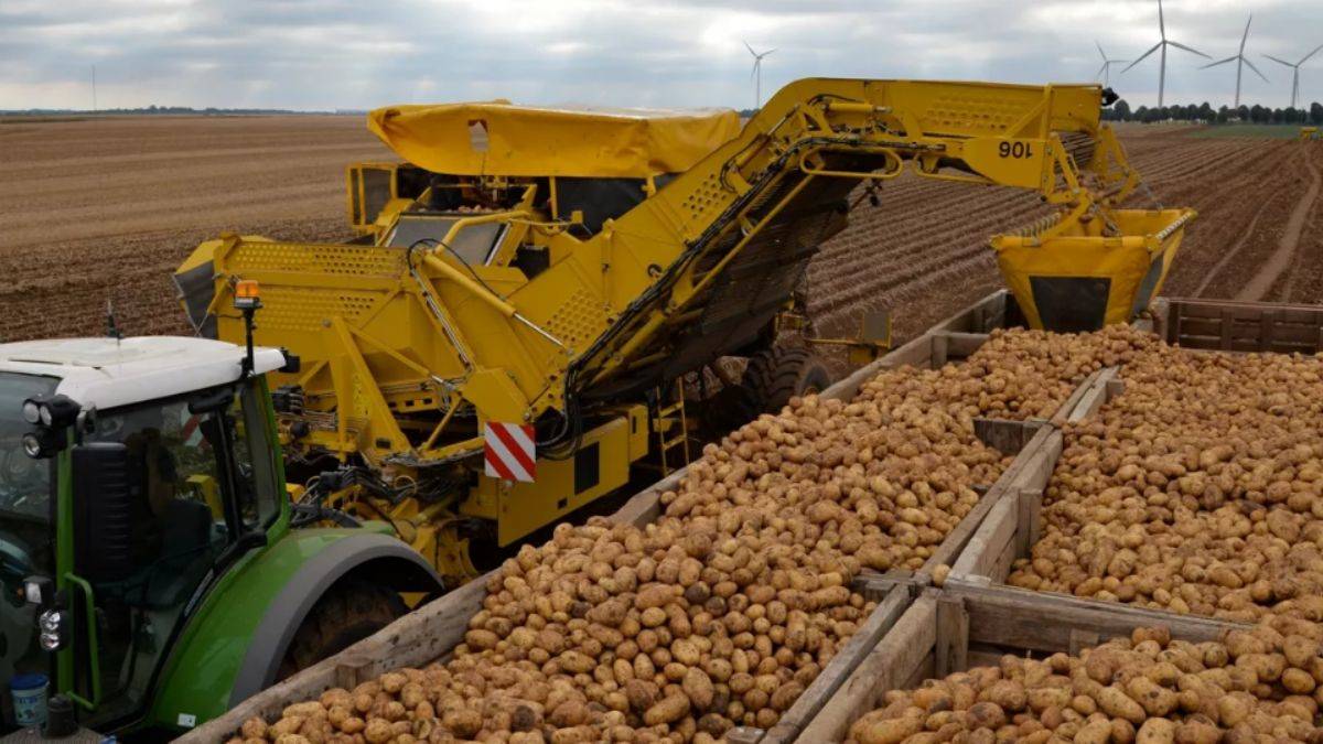 'Felaket' olarak nitelendirdiler! Fransa'da kuraklık hasadı vurdu