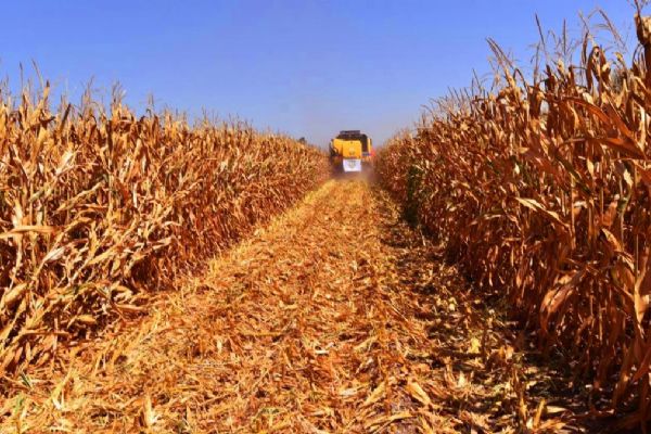Kıtlık sorusuna net cevap: Hiçbir ürünün yokluğunu çekmiyoruz