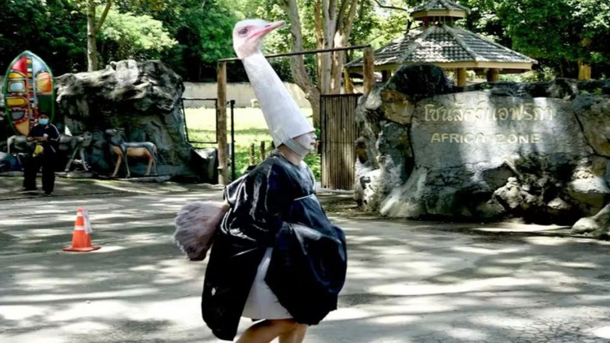 'Devekuşu yakalama tatbikatı'