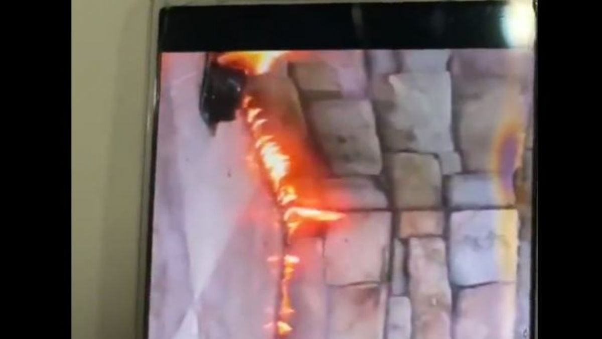 PKK’lının cep telefonundan ‘orman kundaklama’ videosu çıktı