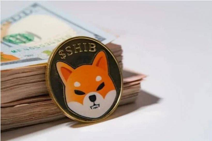 Shiba Inu Nedir? Shiba Coin Nereden Alınır?