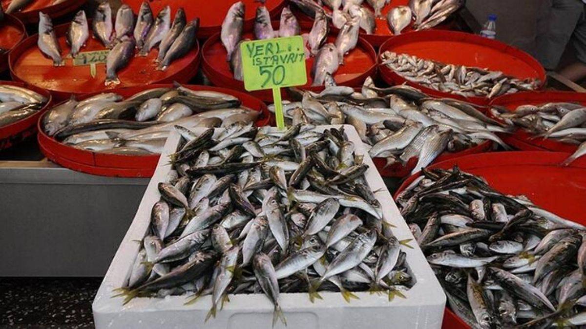 İstavrit bolluğu: fiyatı yarıya düştü