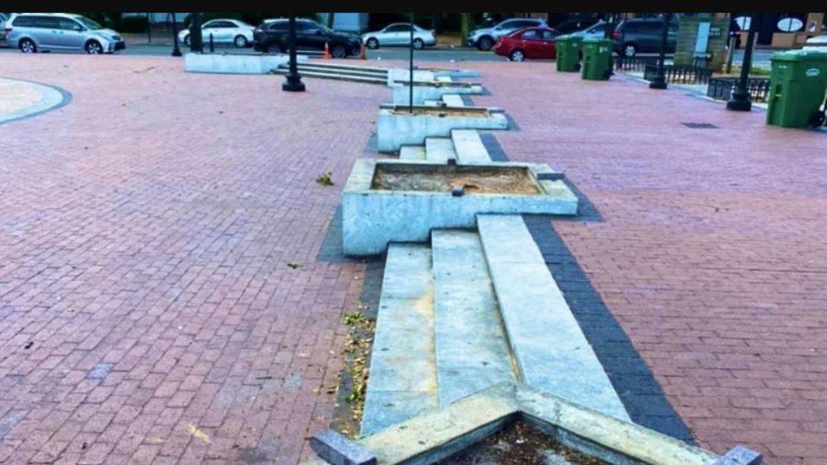 Evsizler toplanıyor diye ağaçları kestiler