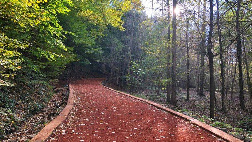 Belgrad Ormanı Nerede? Belgrad Ormanı Nasıl Gidilir?