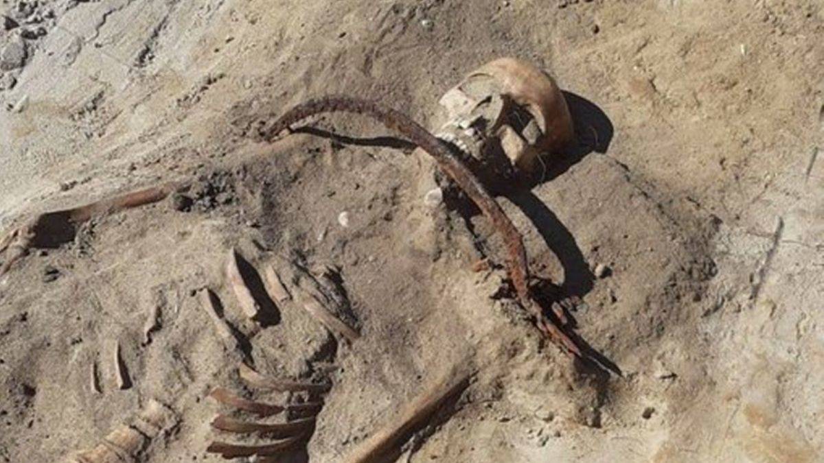 Boynundan orakla bağlanmış 'kadın vampir iskeleti' bulundu