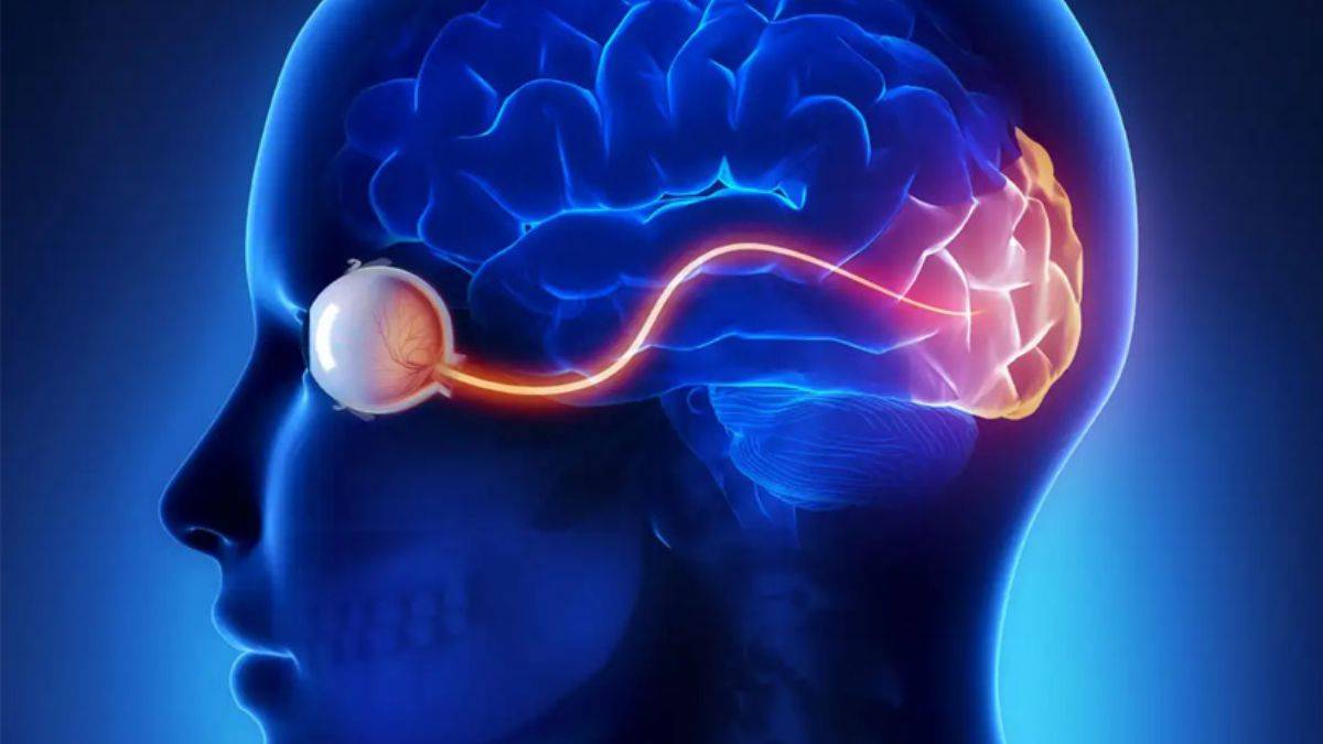 Beynimiz gözümüzü manipüle ediyor! İşte ispatı
