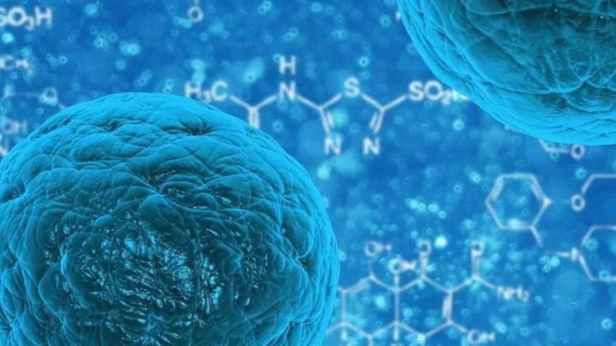 New York’ta çocuk felci virüsü 'olağanüstü hal' ilan edilmesine yol açtı!
