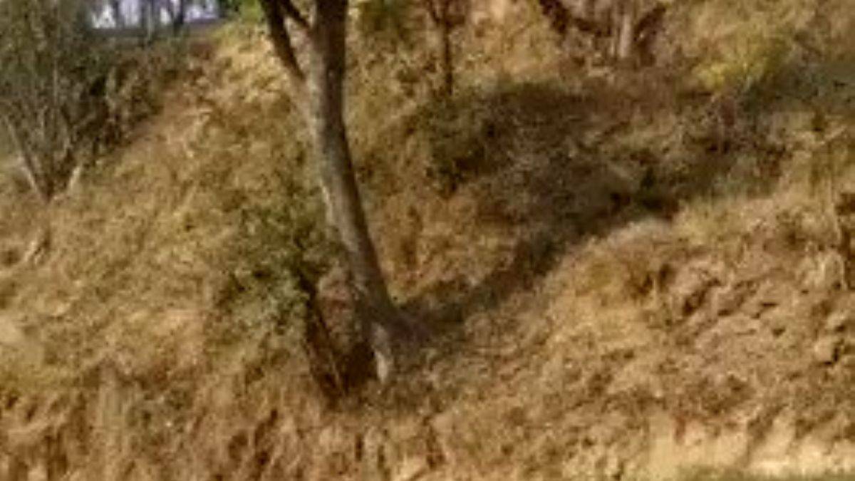 Hindistan'da kadını dövmeye çalışan adama meydan dayağı