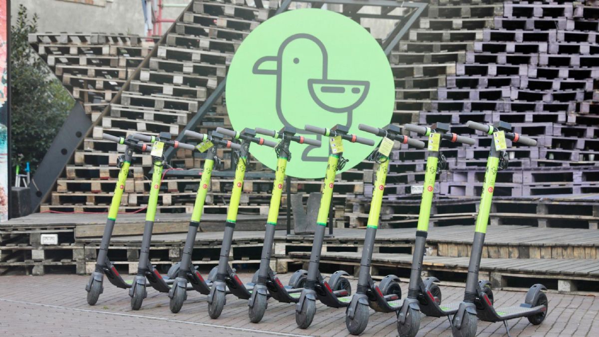 Rekabet Kurulu'ndan ''Martı'' kararı