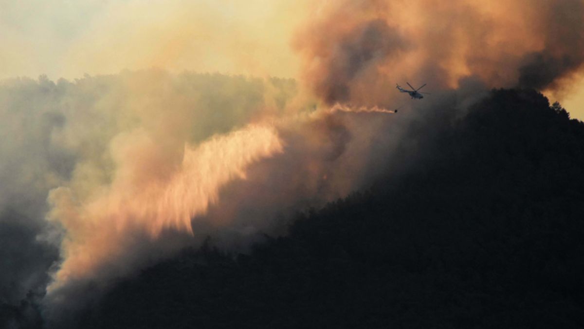 Muğla'da orman yangını