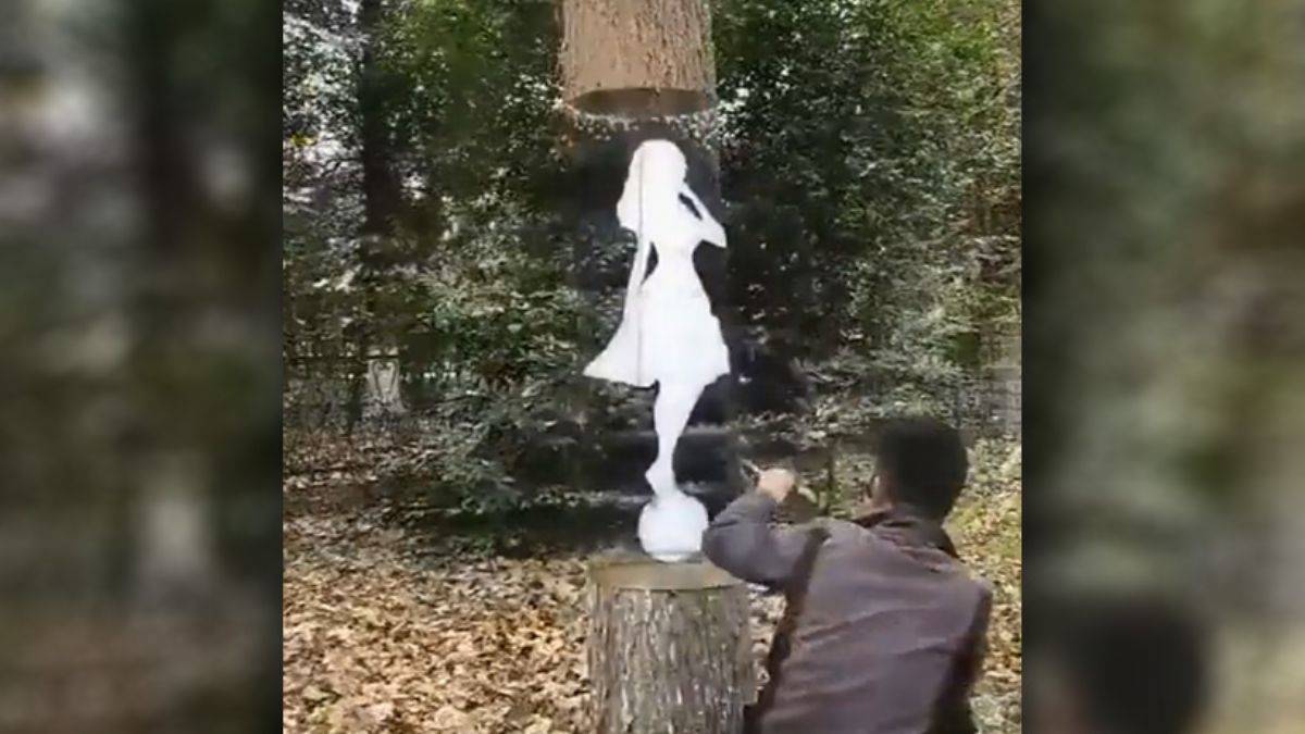 Ağaç üzerine yapılan 3D resim görenleri hayran bıraktı