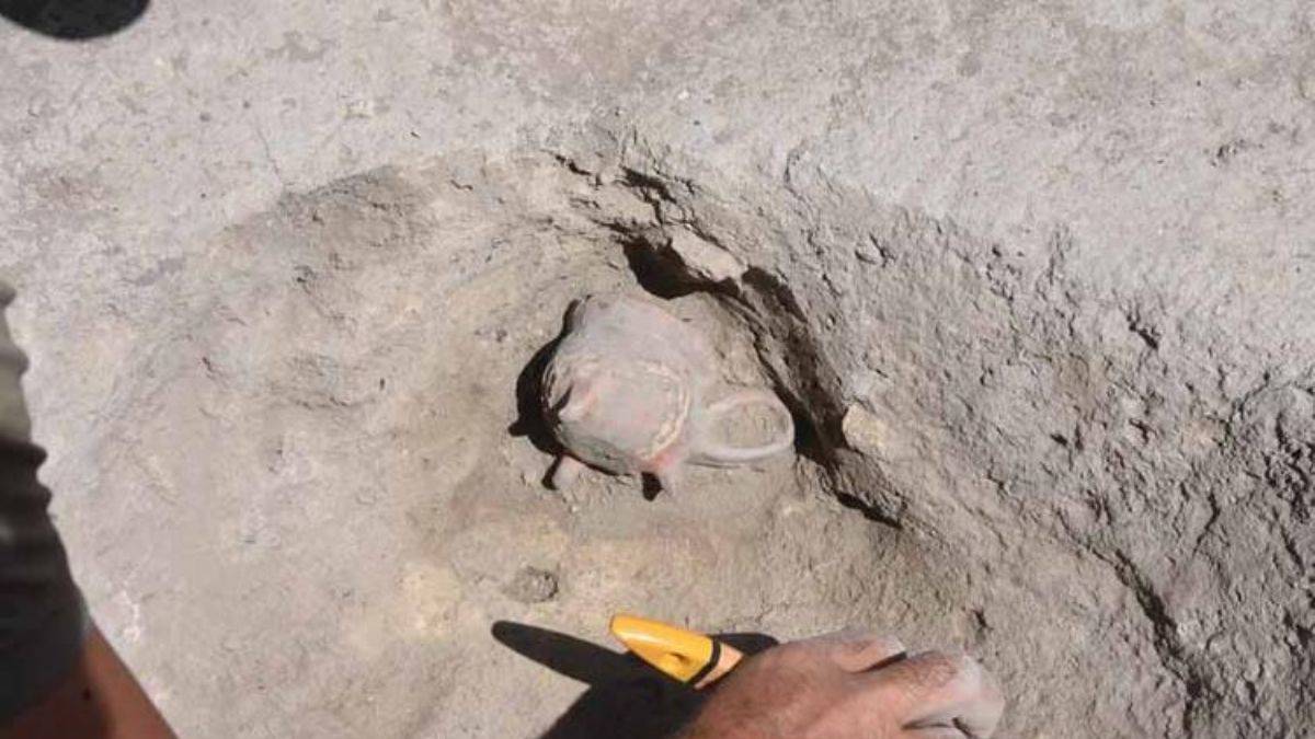 Eskişehir'de 4 bin 500 yıllık ağrı kesici bulundu