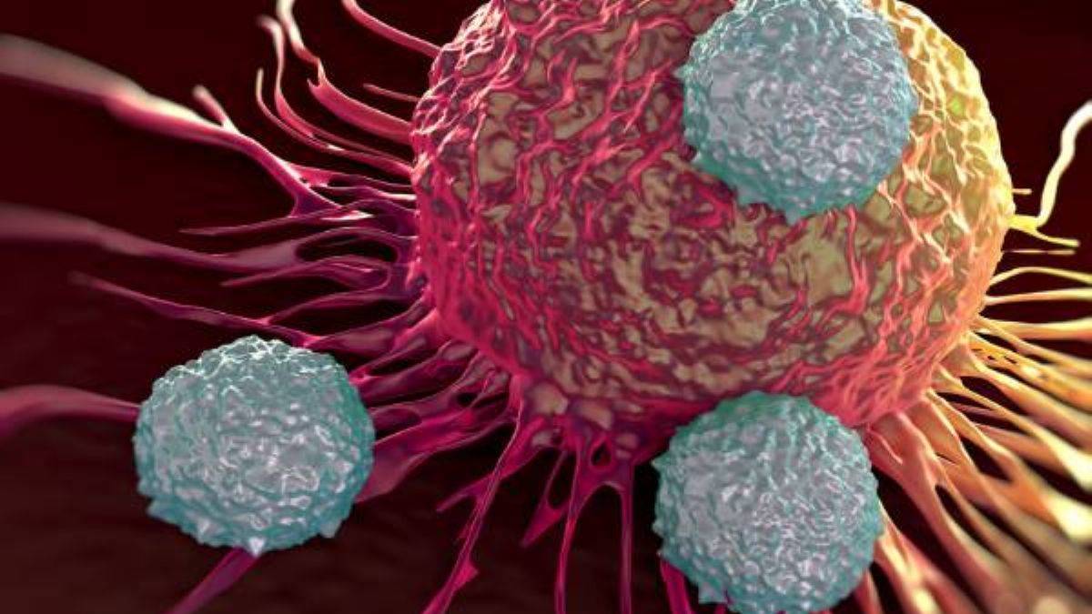 Kanserli hücreleri uçuk virüsüyle öldüren yeni bir tedavi bulundu