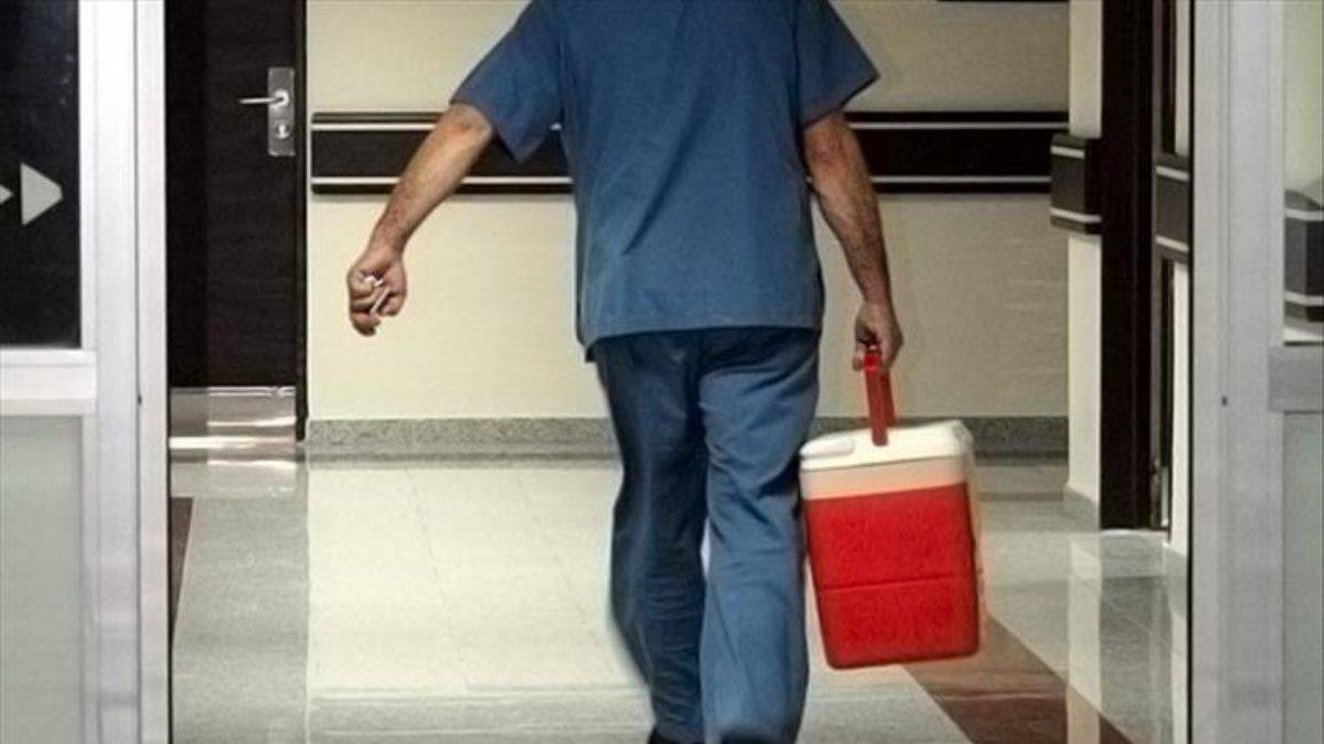 1 böbrek 1 milyon dolar!