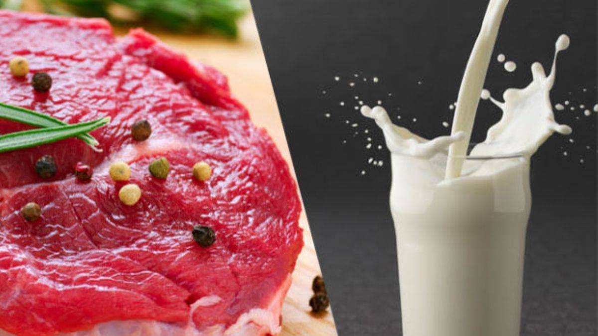 '2023'ün ilk aylarında piyasada et ve süt sıkıntısı olacak'