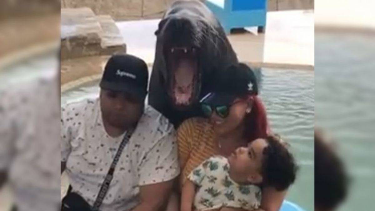 Minik çocuk 'aile fotoğrafı'nı bir türlü içine sindiremedi