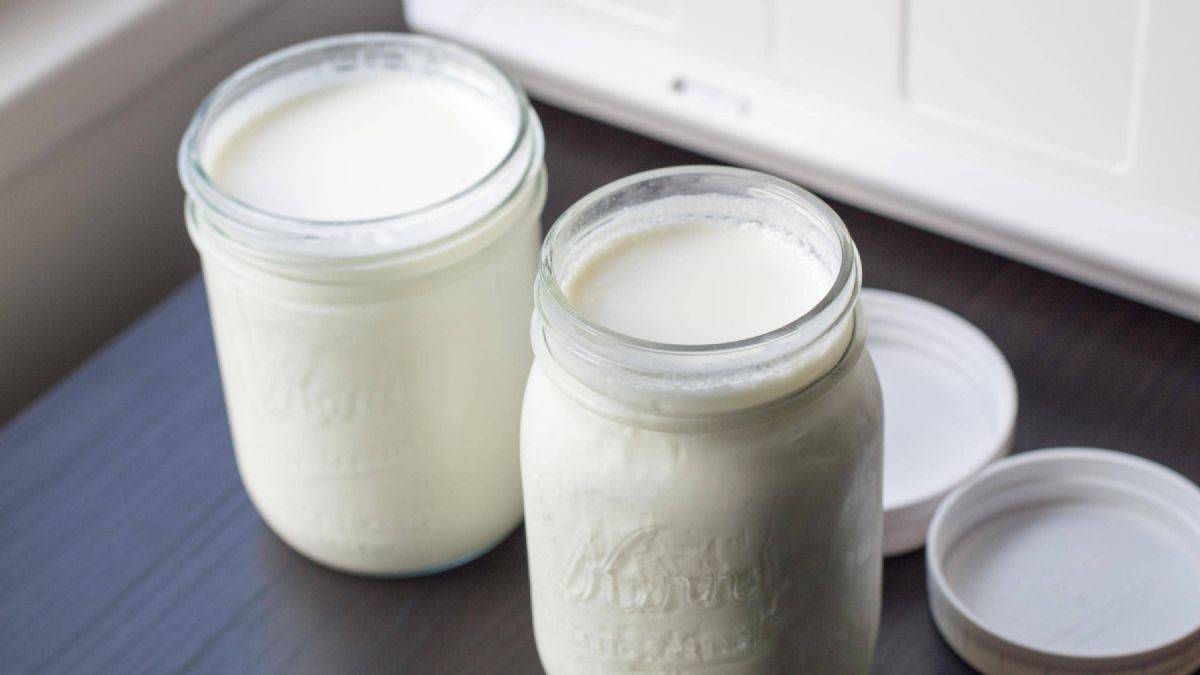 3 litre sütle yoğurt nasıl yapılır? 3 litre sütten yoğurt mayalama tarifi | Yoğurt mayalamanın püf noktaları