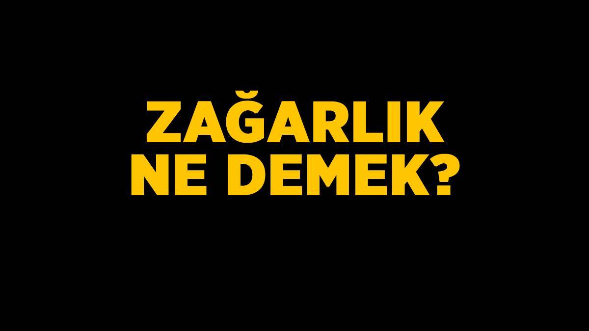 Zağarlık nedir? TDK Zağarlık anlamı nedir? Zağar kimlere denir?