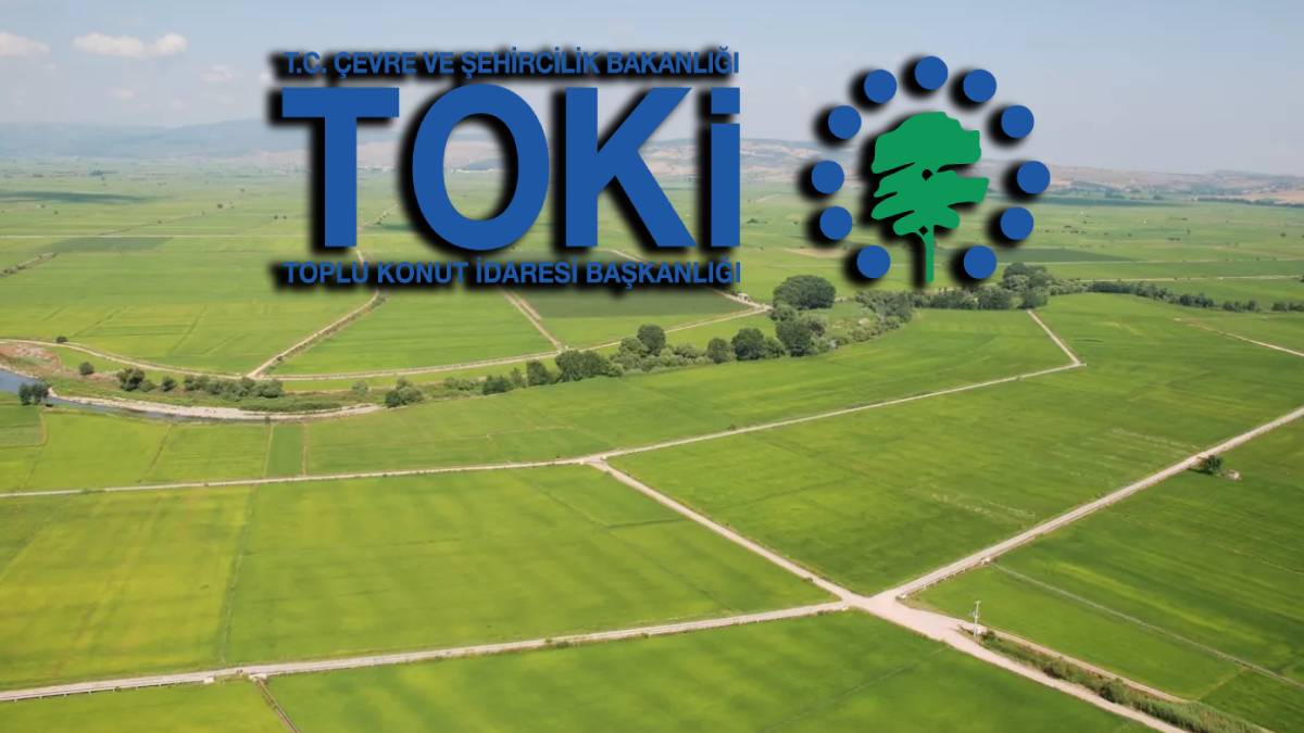 TOKİ 26 il için duyurdu! Açık artırmayla satılacak